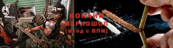 тгк Нея