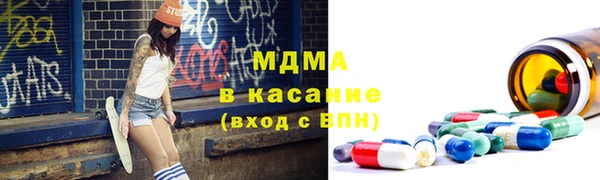 сатива Новозыбков