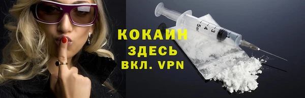 тгк Нея