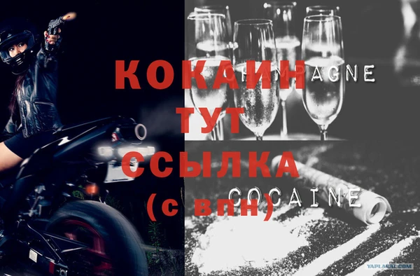 стаф Нефтегорск
