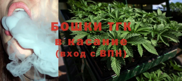 стаф Нефтегорск