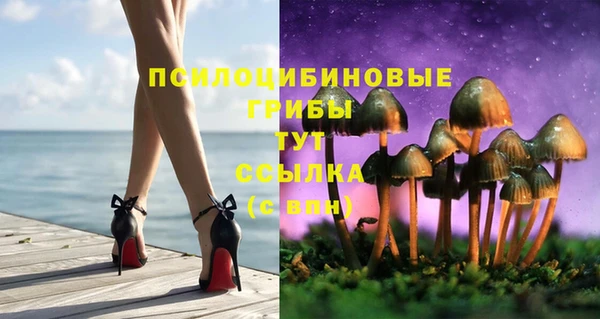 spice Балахна