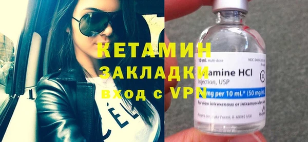 сатива Новозыбков