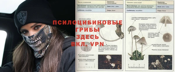 MDMA Premium VHQ Нефтекумск