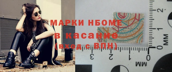 стаф Нефтегорск