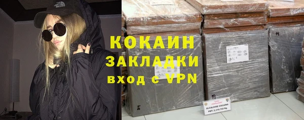 тгк Нея